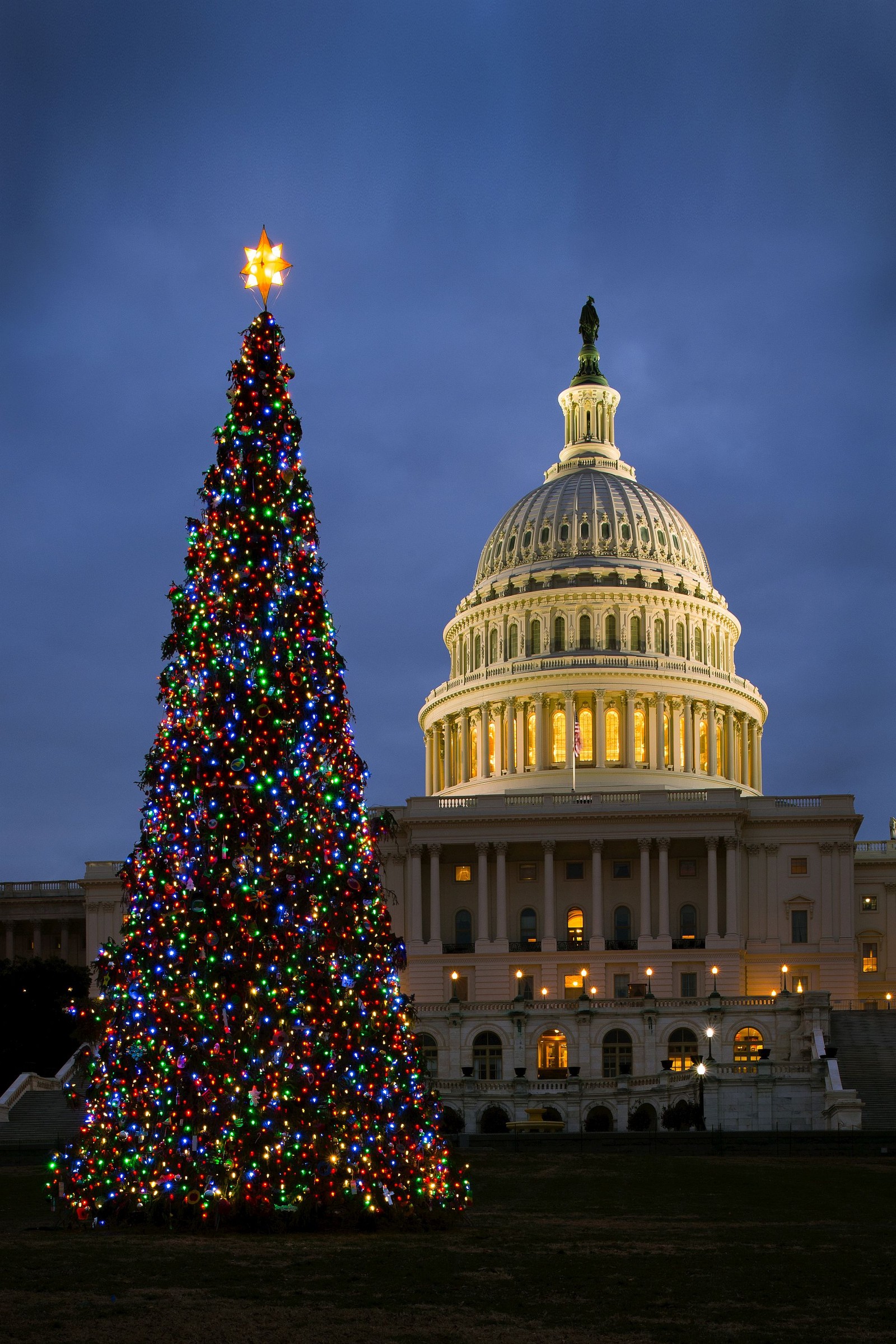 Una vista aérea de un árbol de navidad frente al edificio del capitolio (árbol de navidad, medias, navidad, ornamentos, luces)