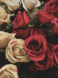 love, roses wallpaper