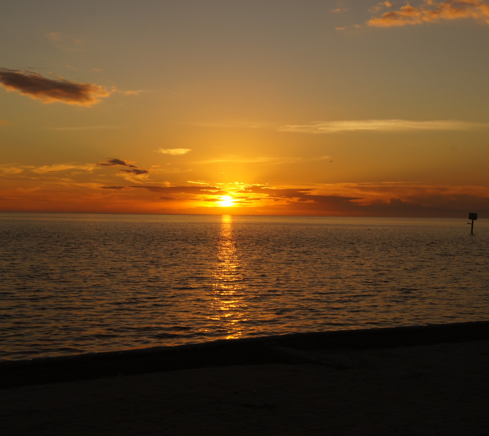 Pôr do sol sobre o oceano com um banco solitário em primeiro plano (flórida, spring hill, por do sol)