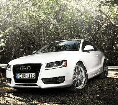 Elegante Audi A5 branco capturado em um cenário verde exuberante