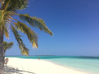 playa, playas, lleno, hd, isla