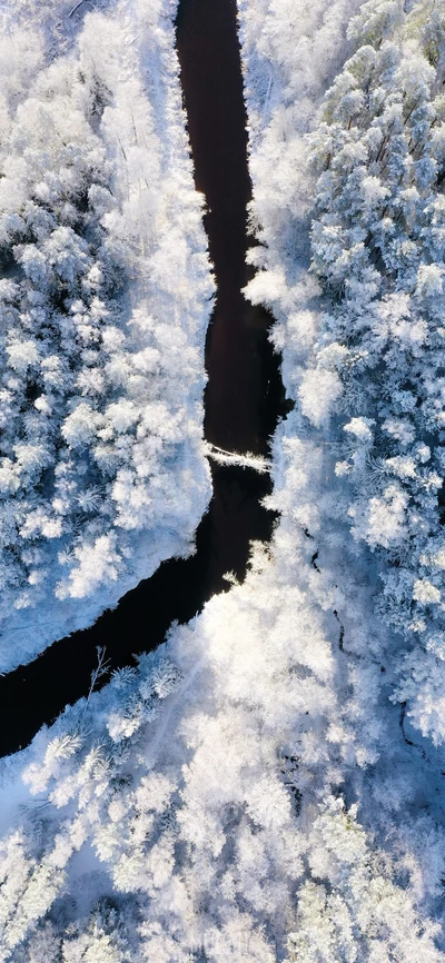 снежная дорога, снег, зима, зимняя дорога, вода