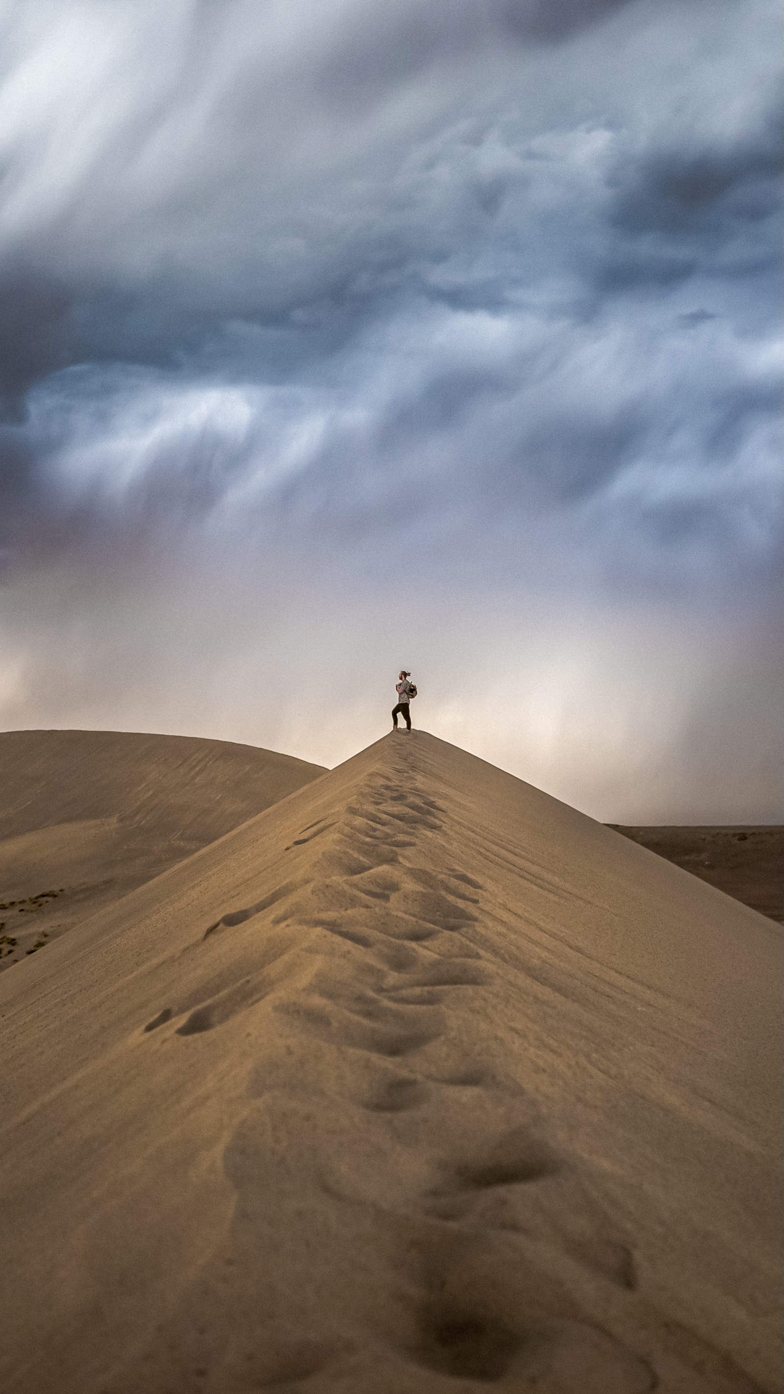 Une girafe debout au sommet d'une dune de sable dans le désert (nuage, macaron, pente, terrain, arbre)