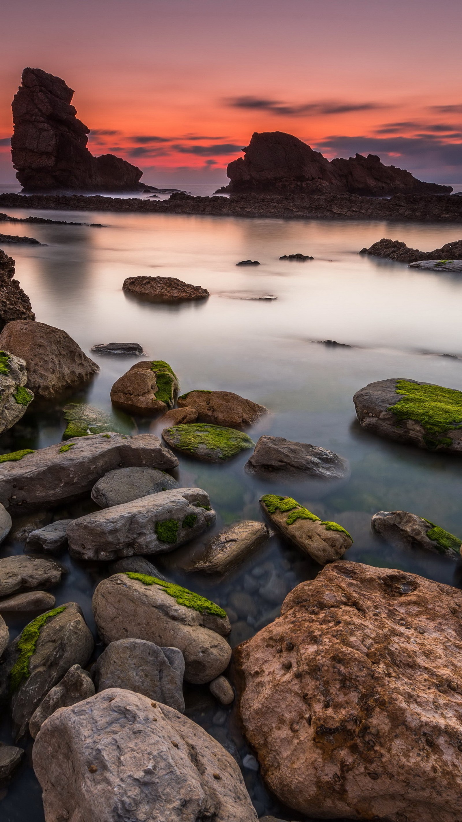 Pedras e água coberta de musgo na praia durante o pôr do sol (natureza, água, nuvem, recursos hídricos, luz)