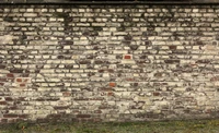 Pared de ladrillo texturizada con trabajo de piedra variado