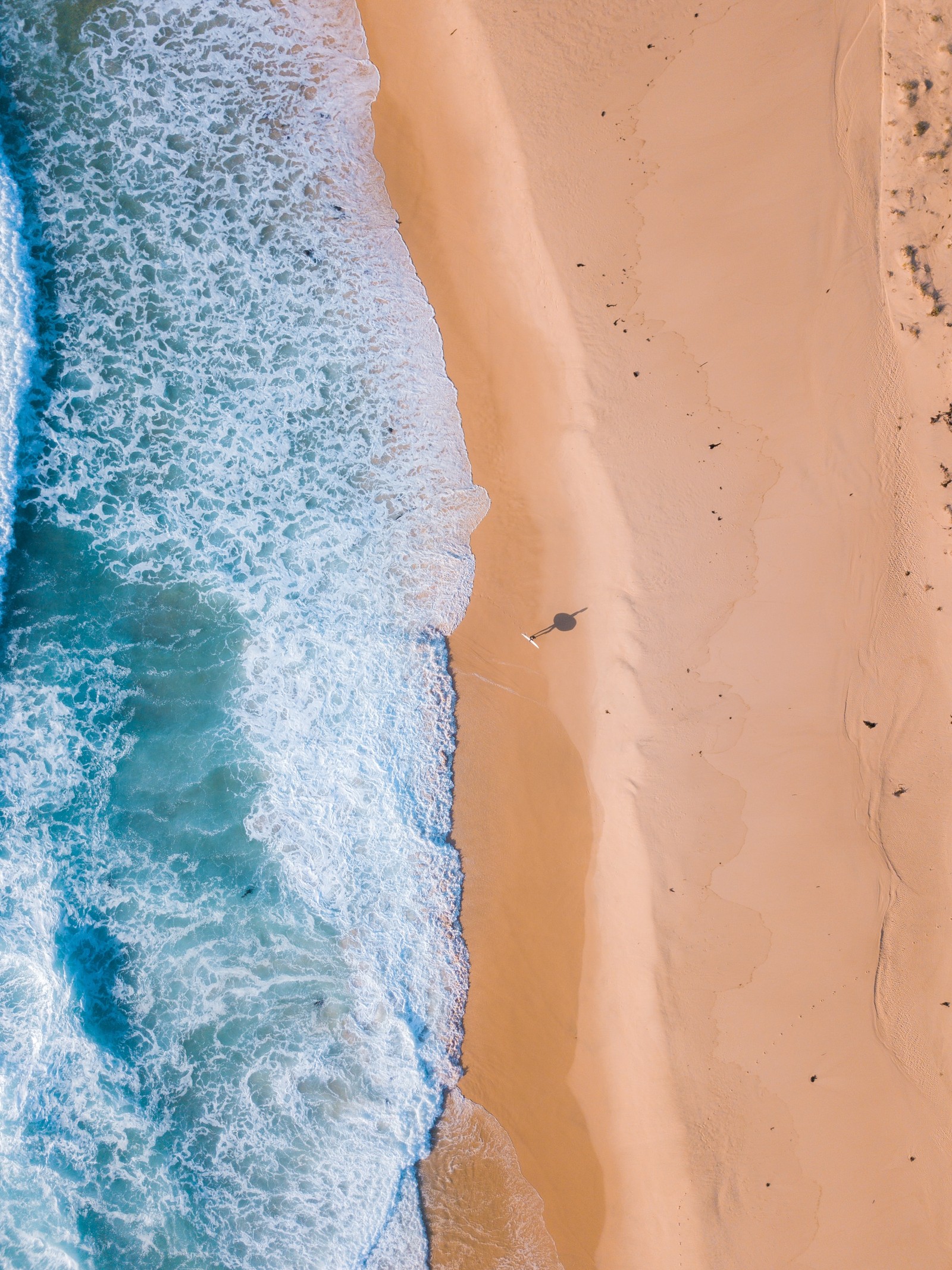 Luftaufnahme eines strandes mit einem einsamen vogel, der über das wasser fliegt (strand, blau, wasser, weiß, azurblau)