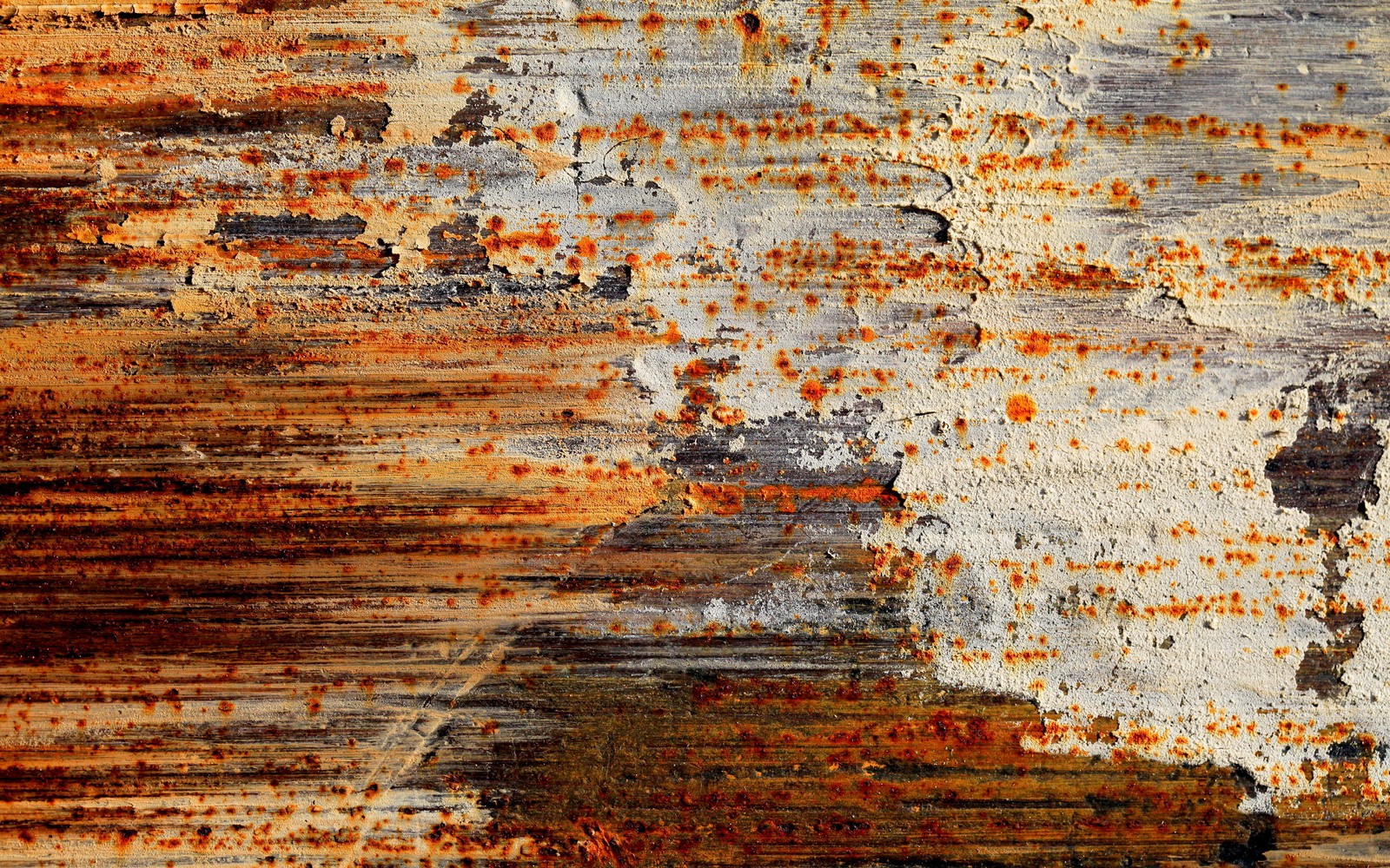 A close up of a rusted metal surface with a white and orange paint (wall, rust, wood, trunk, painting)