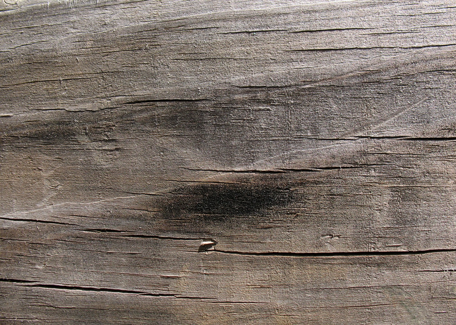 Vista aérea de un tronco de árbol con un agujero en él y un pequeño agujero en el medio (textura, maletero, tabla, madera, roca madre)