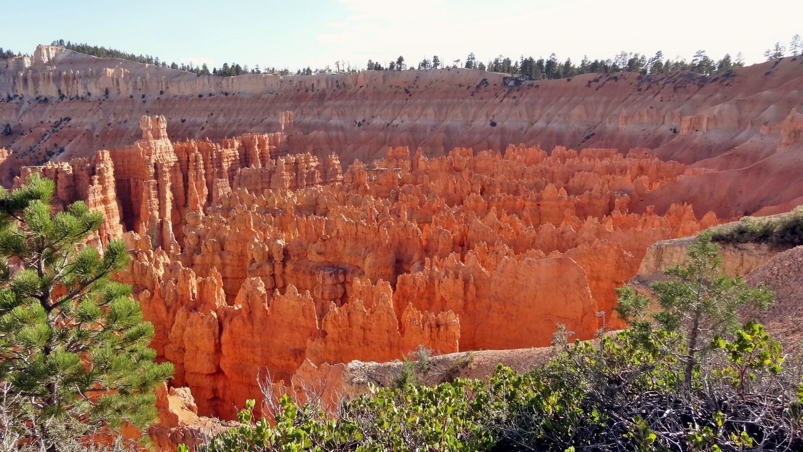 Canyon arabe dans le parc national de bryce, utah (parc national de bryce canyon, parc national de zion, zion national park, parc national du grand canyon, parc national)