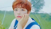 Hyeongjun com um guarda-chuva em um campo verdejante