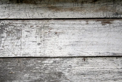 wall, plank, texture, wood, concrete