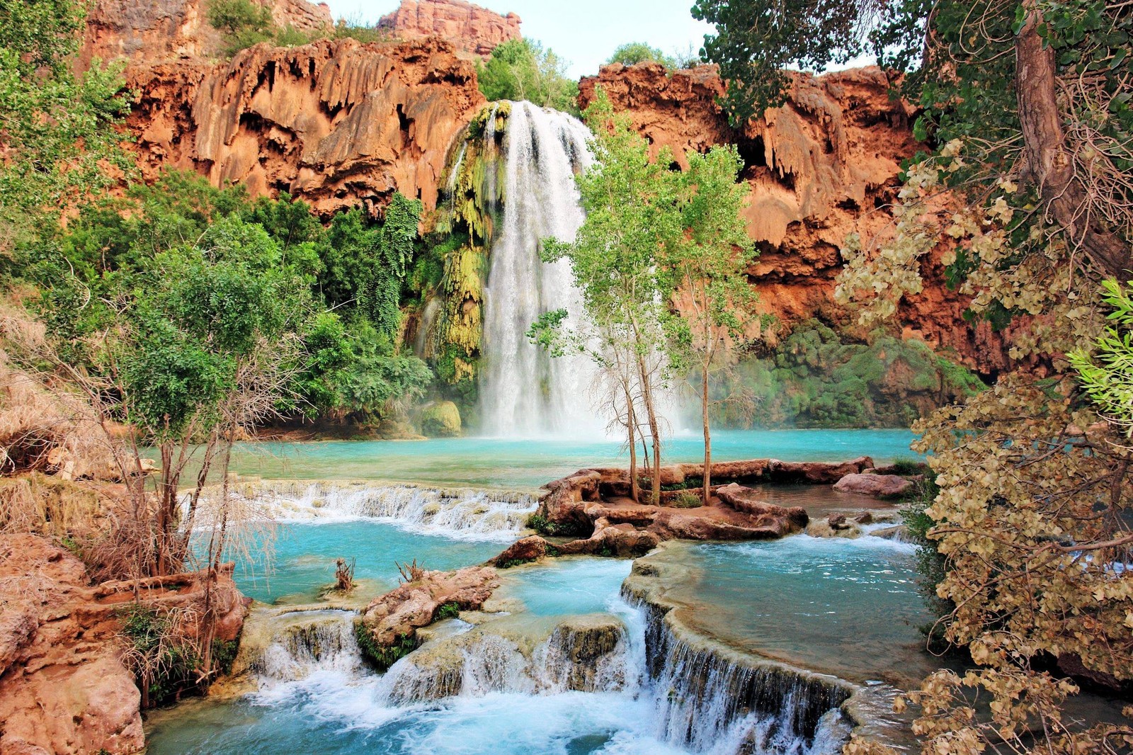 Une vue d'une cascade au milieu d'une forêt (la cascade, grand canyon, supai, attraction touristique, eau)