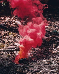 Fumée rose et rouge vibrante s'élevant du sol de la forêt