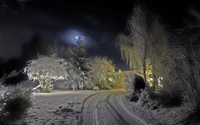 invierno, noche, nieve, naturaleza, congelación