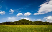 Üppige Wiese unter einem hellen Himmel mit sanften Hügeln und Wolken