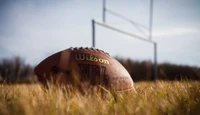 Wilson NFL-Fußball auf einem Rasenfeld mit Torpfosten