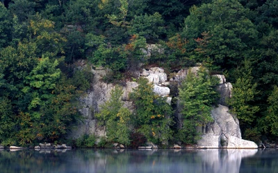 Ruhige Flussuferreflexionen zwischen lebhafter Vegetation