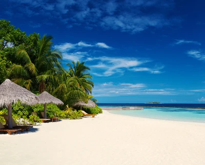 strand, küste, insel, palmen, sand