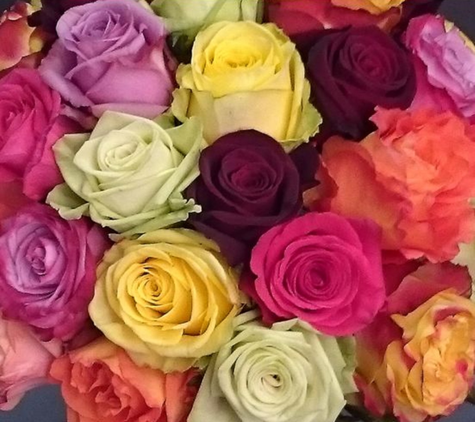 A close up of a vase filled with lots of colorful roses (colorful, roses)