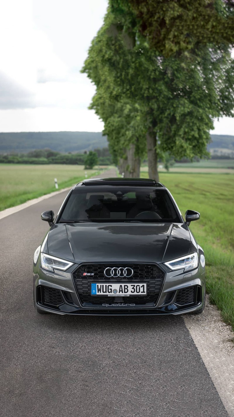 Ein audi steht am straßenrand neben einem baum (audi, rs3)