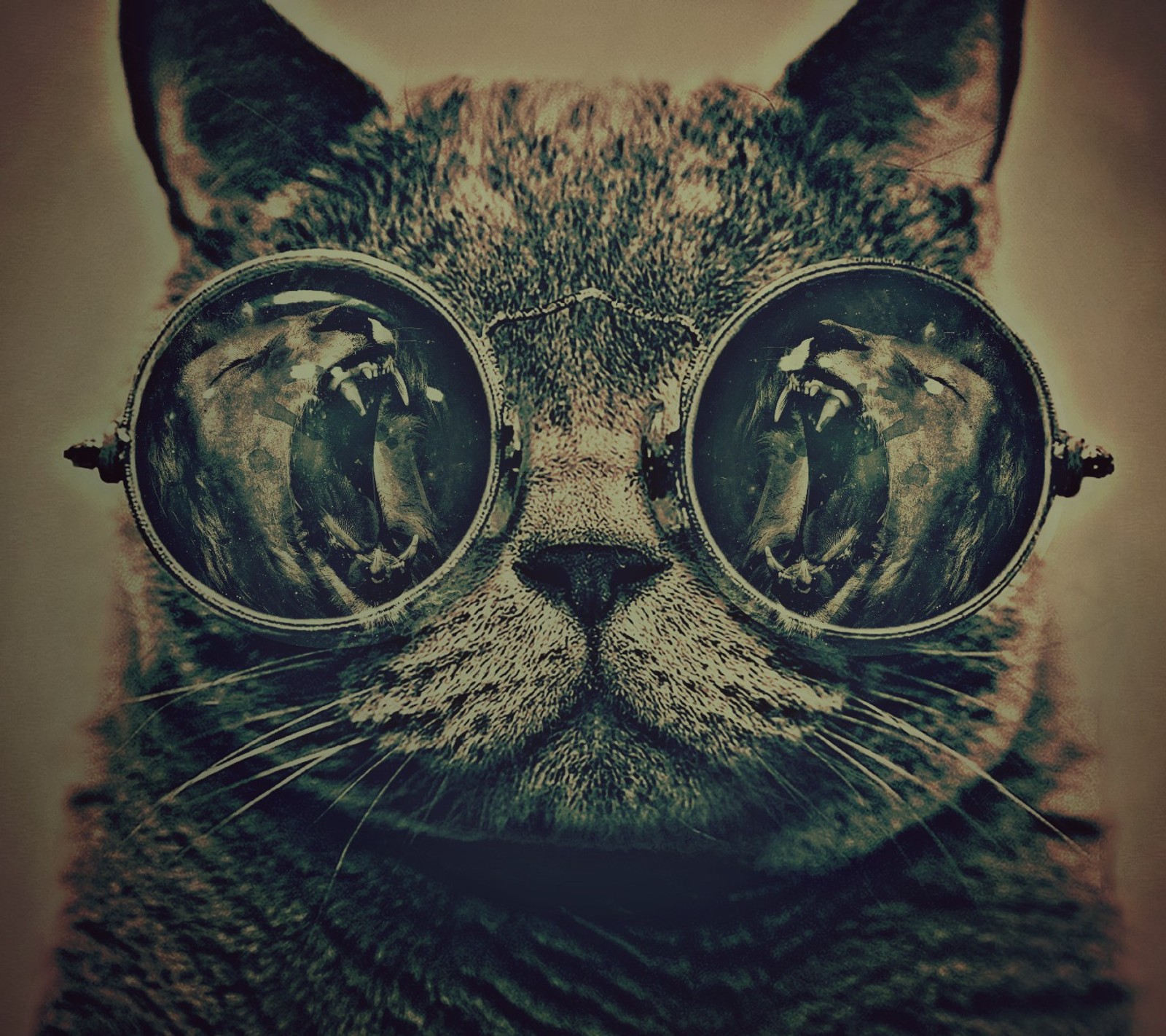 There is a cat wearing glasses and a pair of glasses (glasses, kitty, lions)