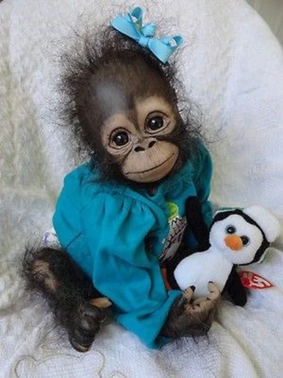 Joli singe dans une tenue turquoise tenant un jouet en peluche de pingouin.