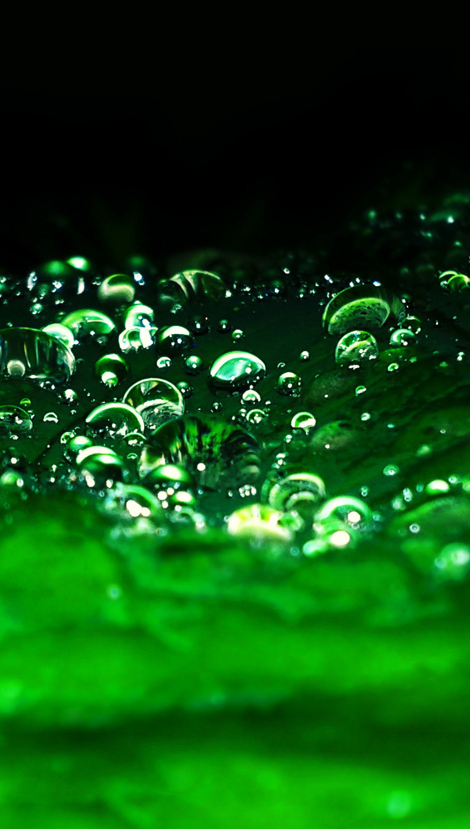 Un primer plano de un líquido verde lleno de gotas de agua (abstracto, macro, foto)