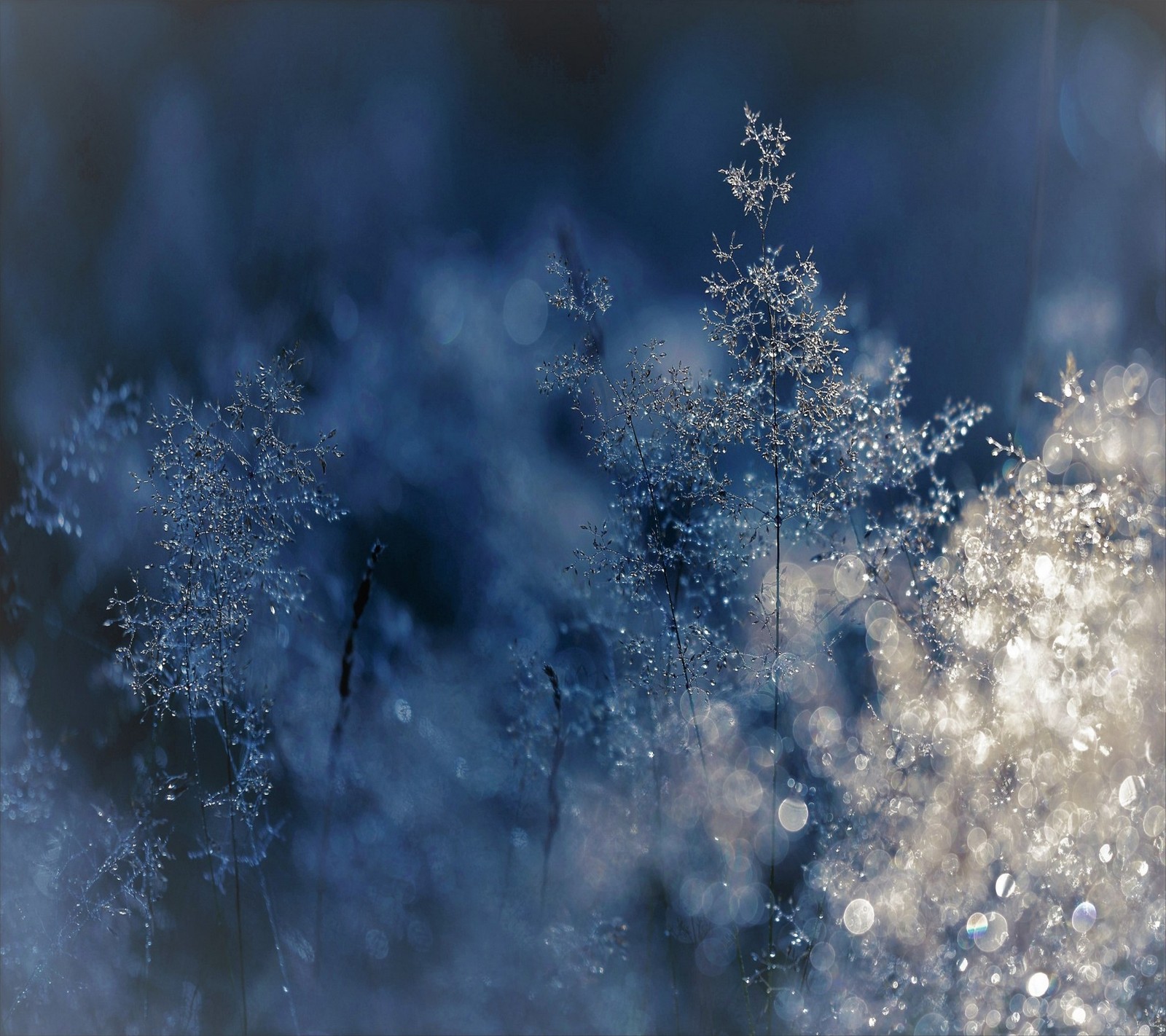 Arapados de flocos de neve em um fundo azul (abstrato, azul, branco)