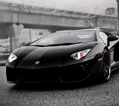 hermoso, coche, coches, genial, coolblack