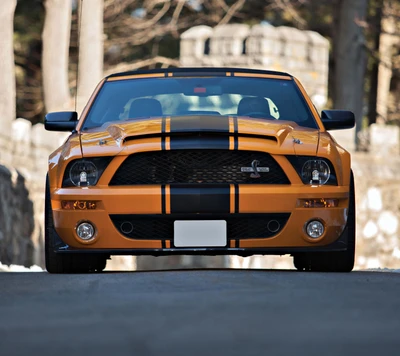 auto, voiture, ford, mustang, stang