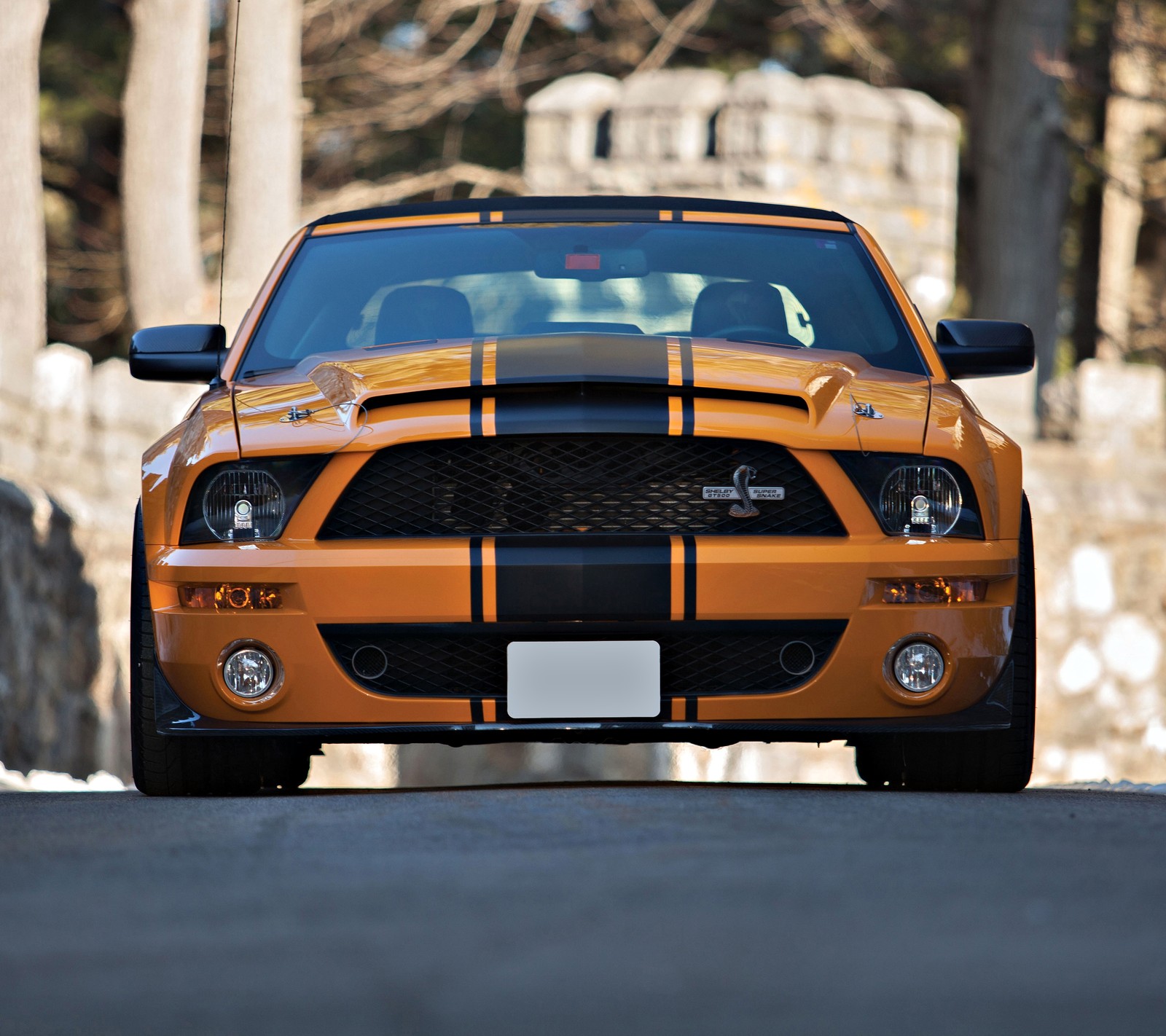 Eine nahaufnahme eines autos, das auf einer straße mit einer steinmauer im hintergrund geparkt ist (auto, ford, mustang, stang, super snake)