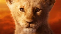 the lion king, movie, simba wallpaper