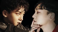 chen, 첸, kim jong dae, 김종대, exo wallpaper