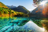 Réflexion de la nature tranquille dans un lac cristallin