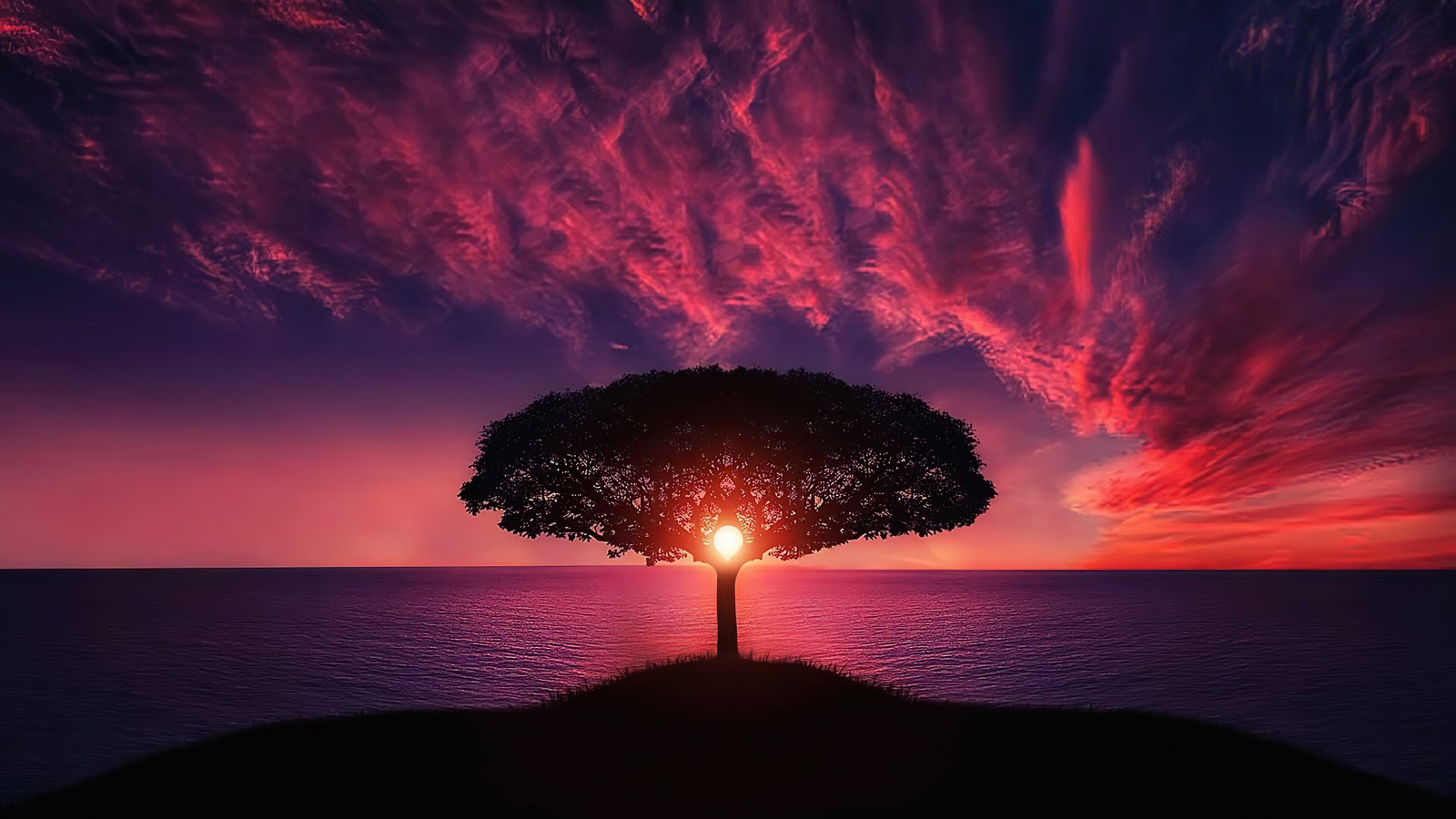 Un arbre sur une colline avec un coucher de soleil en arrière-plan (mer, coucher de soleil, ciel, arbre, paysage)