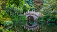 Reflexión serena en un jardín chino con puente de piedra