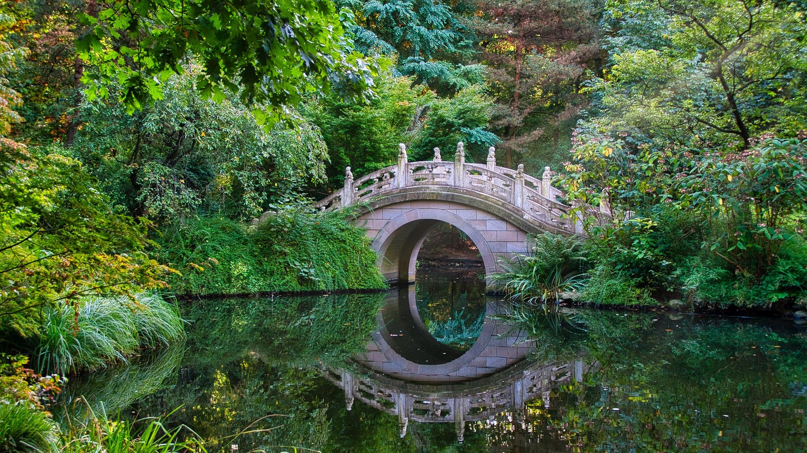 Uma ponte sobre um lago em um parque com árvores e arbustos (jardim, jardim chinês, planta, água, árvore)