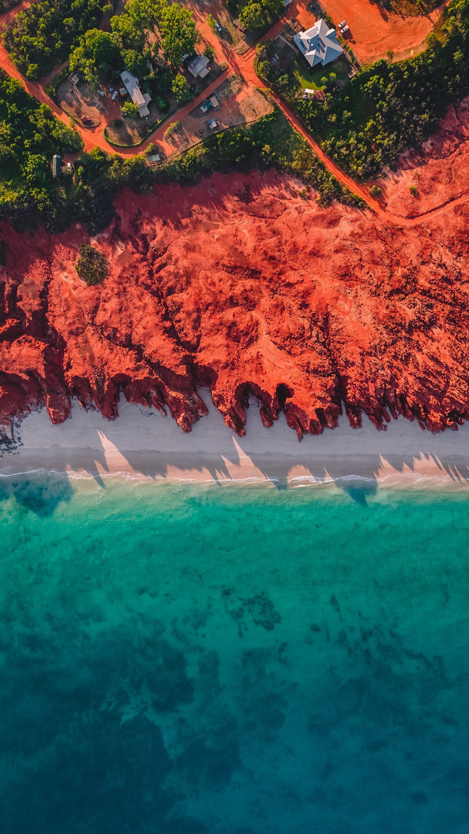 Descargar fondo de pantalla google pixel, agua, planta, recursos hídricos, naturaleza