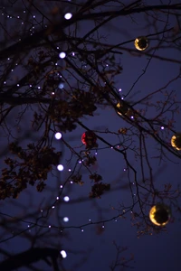 Twinkling Christmas Lights on a Dark Night Branch