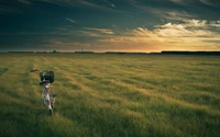 Bicicleta de la tarde en la pradera bajo un vasto cielo