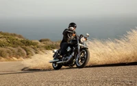 motorcycle, custom motorcycle, cruiser, motorcycling, car