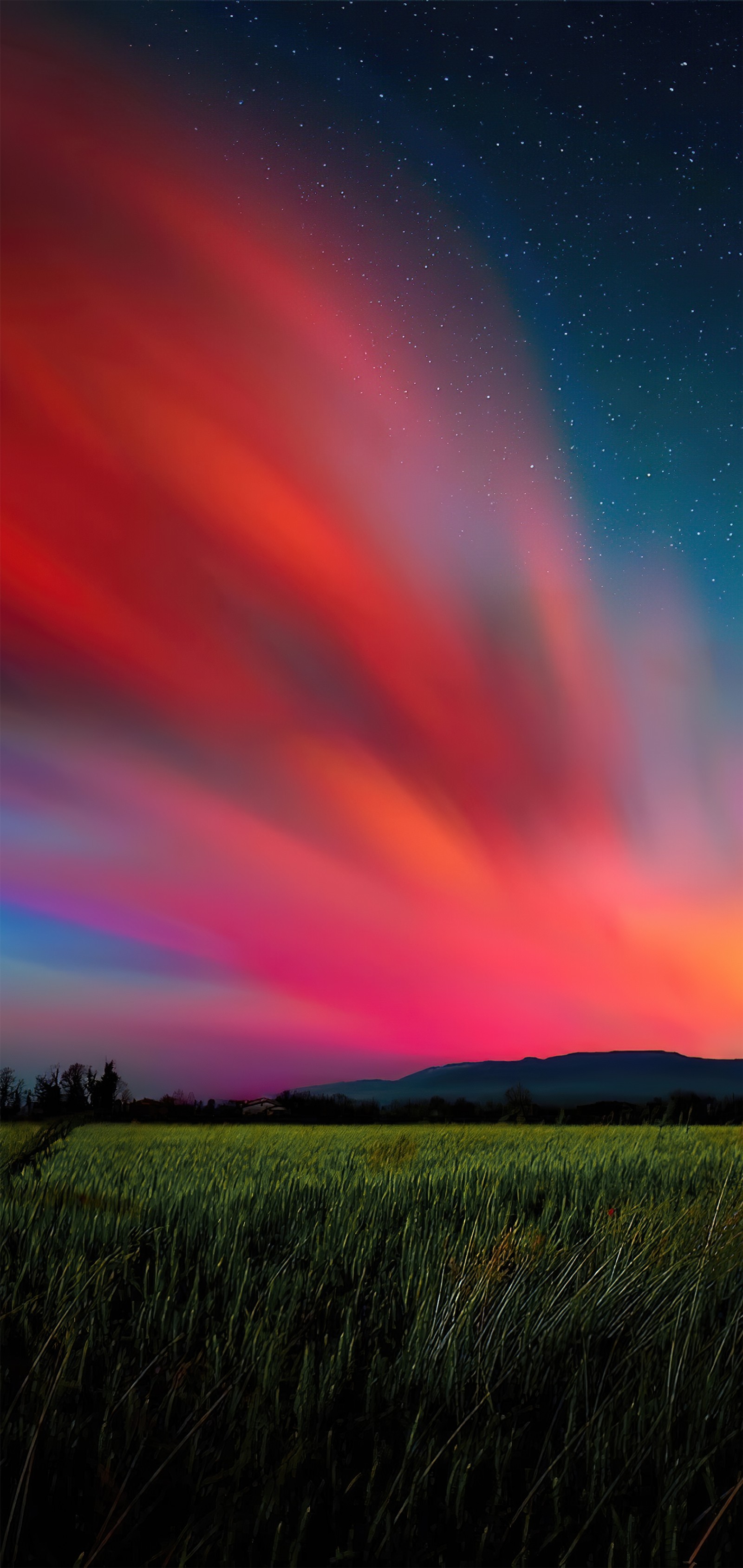 Brightly colored clouds in the sky over a field of grass (cloud, atmosphere, ecoregion, afterglow, green)