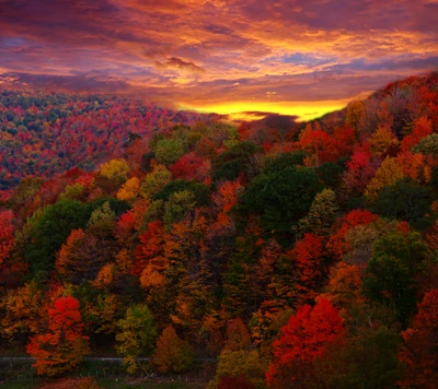 Follaje otoñal vibrante bajo un atardecer colorido