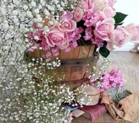 Spring Blooms: A Beautiful Arrangement of Pink Roses and Delicate Babysbreath