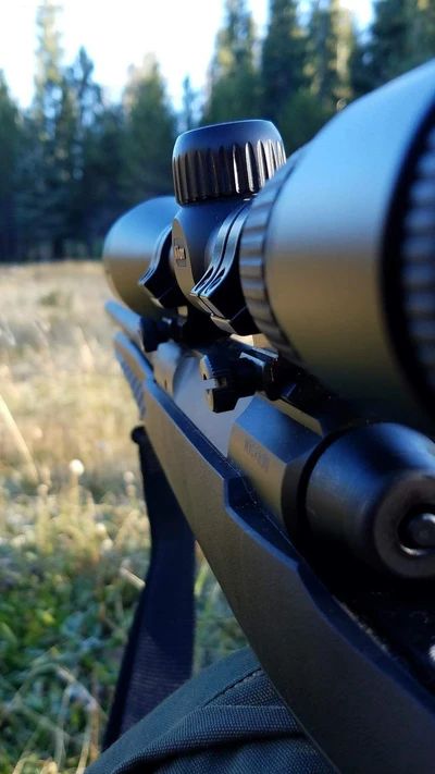 Vista de precisión: Rifle de francotirador en la naturaleza