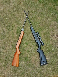 Rifles cruzados no chão gramado.