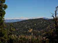 desierto, formas montañosas, montaña, árbol, bosque