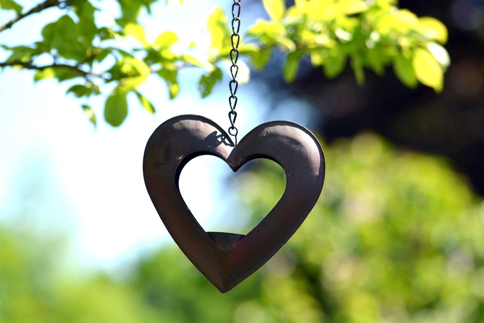 Un objet métallique en forme de cœur pend à un arbre (cœur, symbole, amour, pendentif, médaillon)