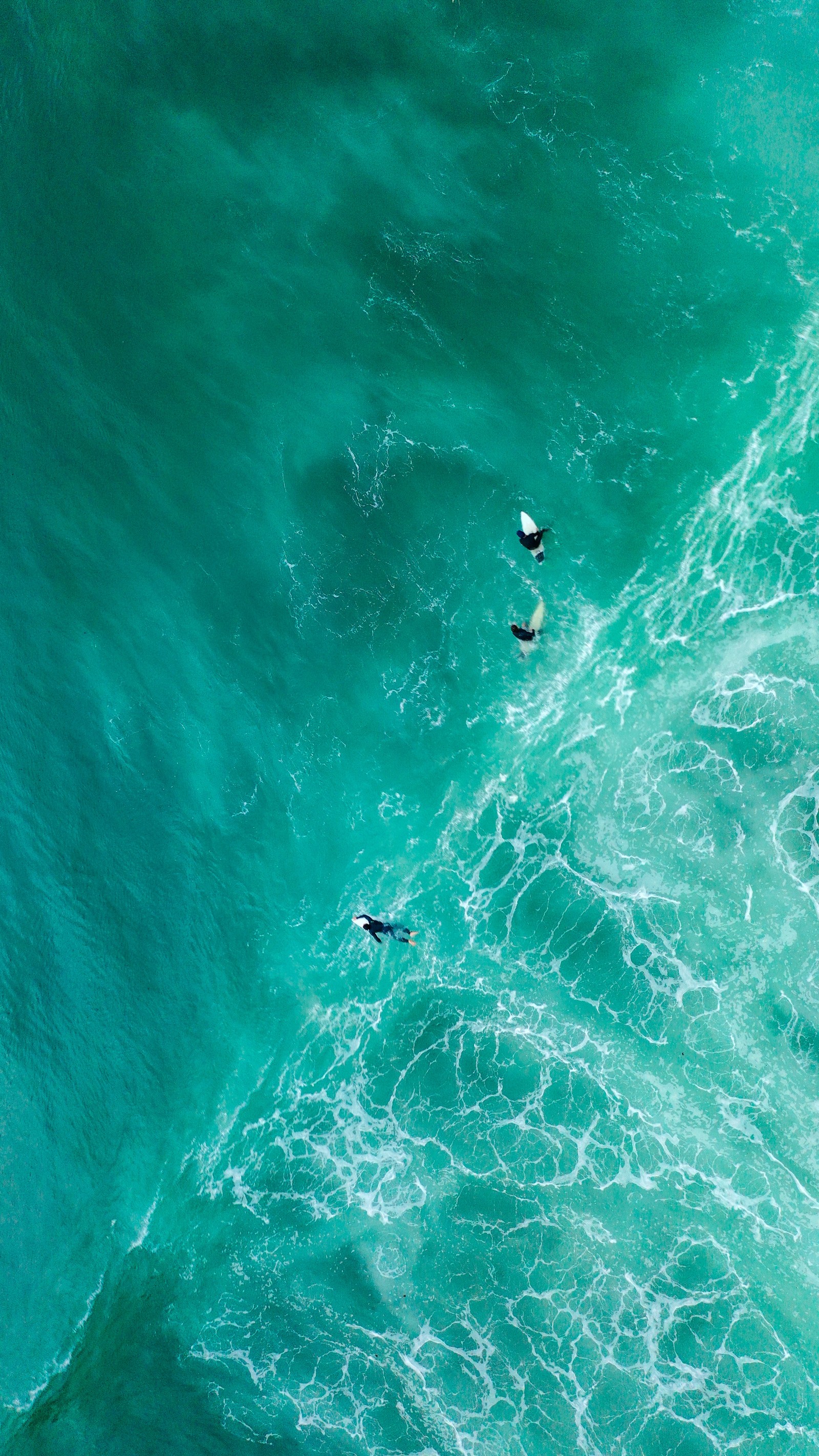 Surfistas estão surfando as ondas no oceano em suas pranchas de surf (mar, água, verde, turquesa, oceano)