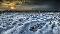 Paisaje cubierto de nieve al amanecer, mostrando una serena escena invernal en Finlandia con hierbas cubiertas de escarcha y un cielo dramático.